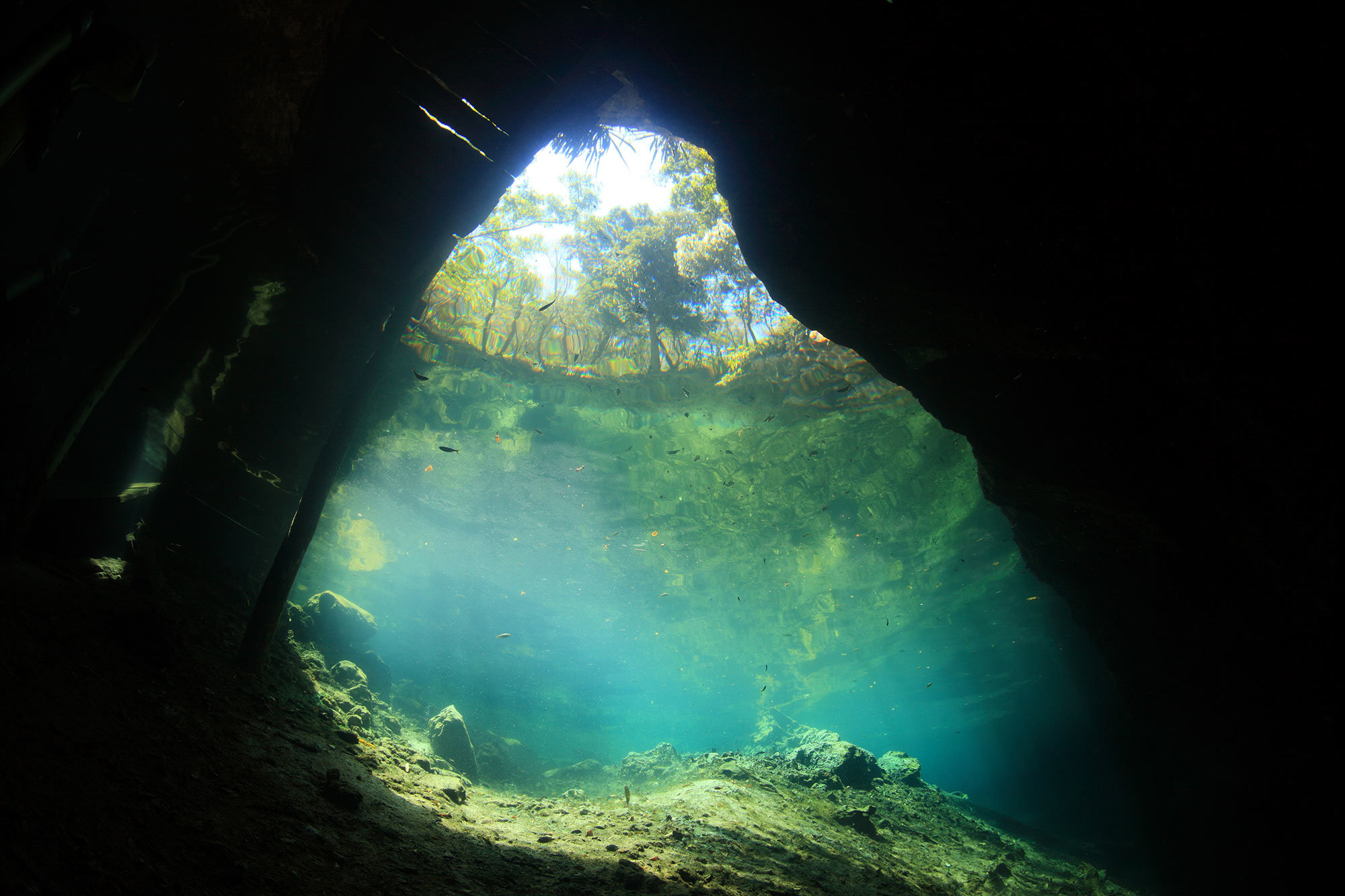 Así son los cenotes de “La ruta de los cenotes” en Puerto Morelos