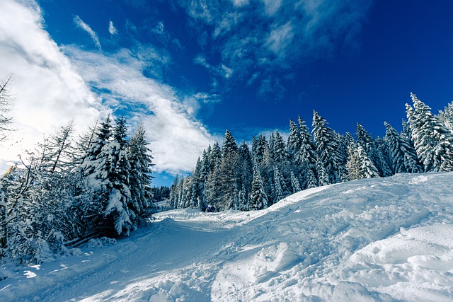 12 lugares con nieve en México