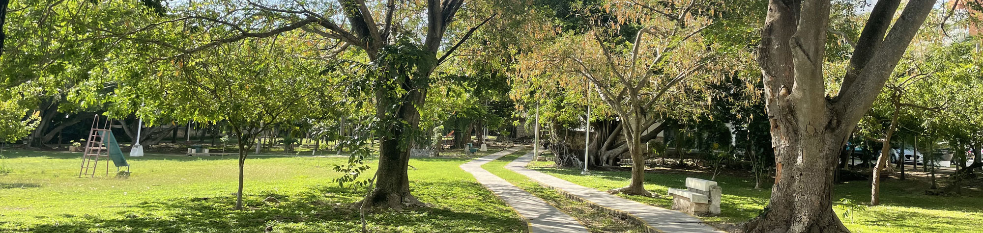 7 Parques en Cancún gratis para dar un paseo