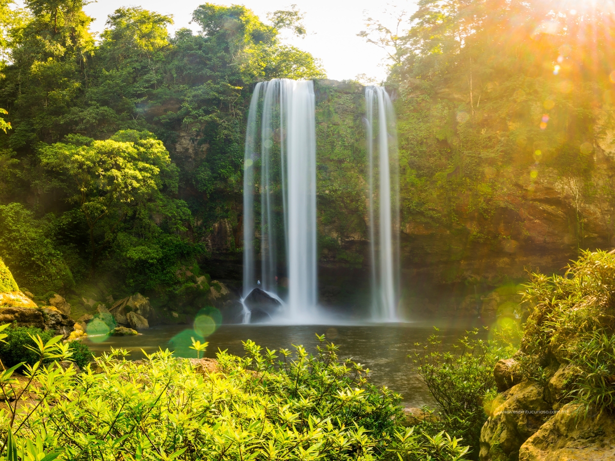 Top 5 Cascadas en Palenque ¡Las más bonitas!